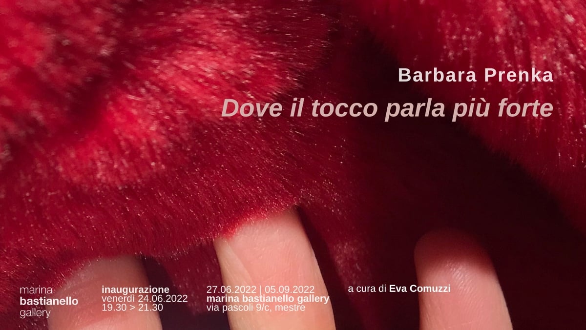 Barbara Prenka - Dove il tocco parla più forte